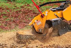 Best Tree Preservation Services  in Congers, NY